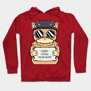 cat sorry i steal your heart Hoodie